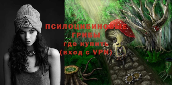 мдпв Балабаново