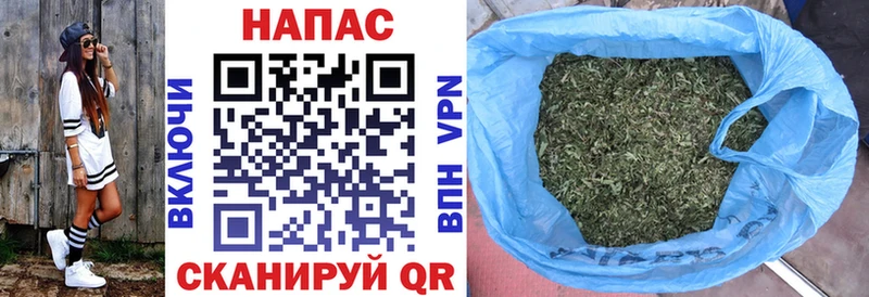Бошки Шишки MAZAR  Купить  Белёв 
